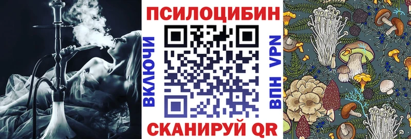 Псилоцибиновые грибы ЛСД Купино